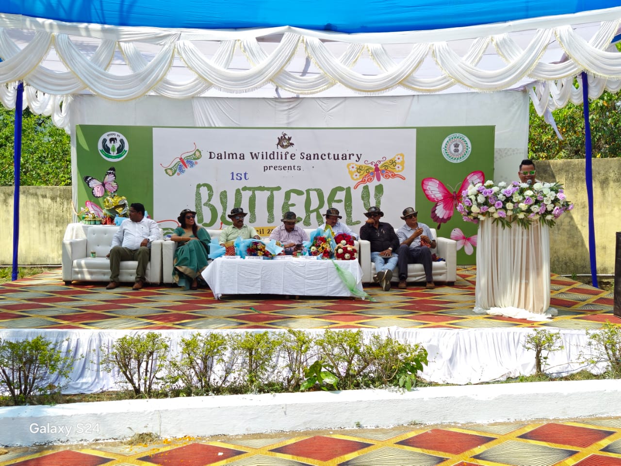 1st Butterfly Festival by Dalma Wildlife Sanctuary