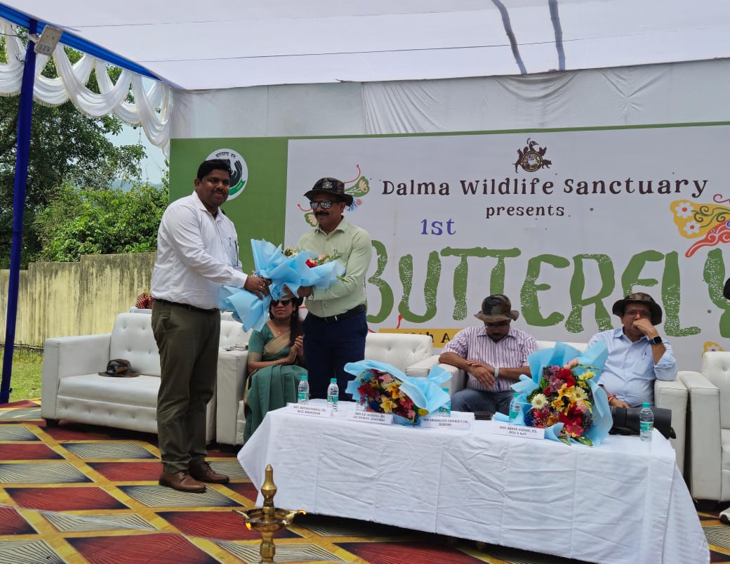 1st Butterfly Festival by Dalma Wildlife Sanctuary