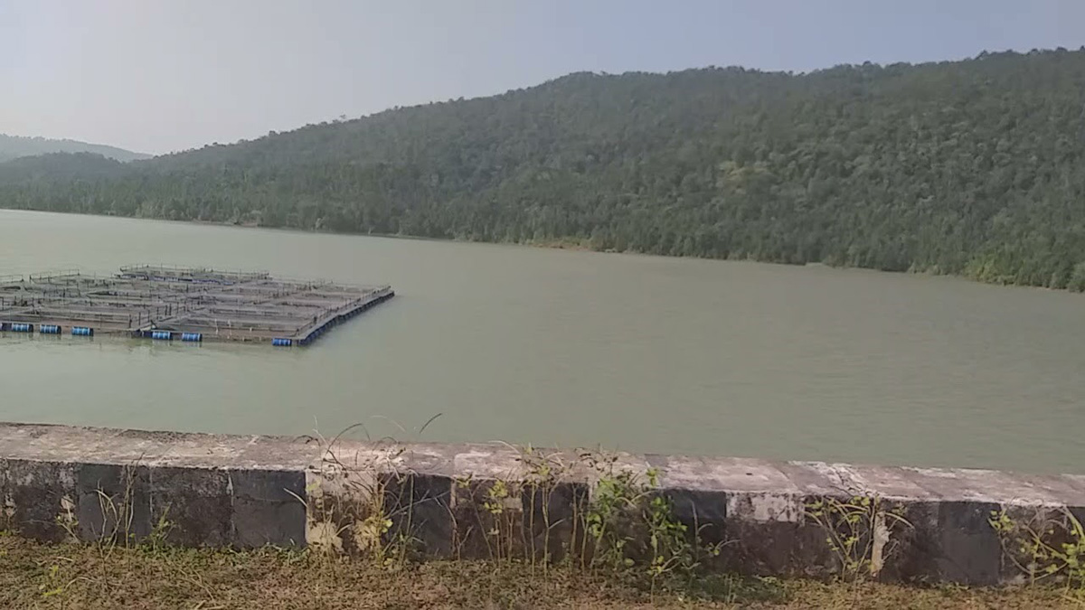 c.Nawagai Dam, Dumri