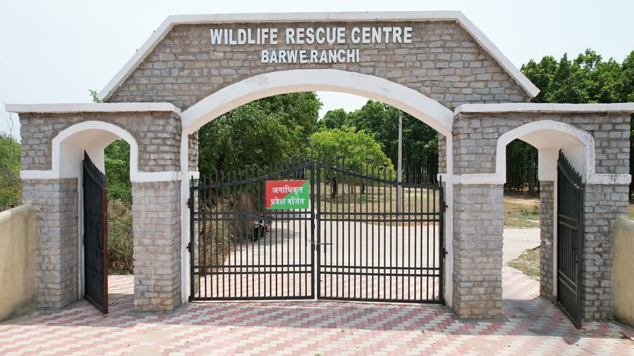 Animal Rescue Centre Barwe