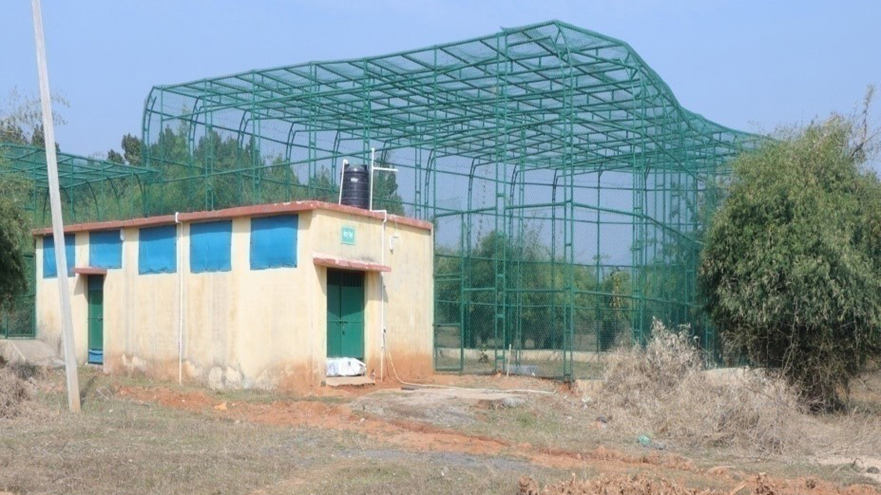Monkey Enclosure At Animal Rescue Centre Barwe