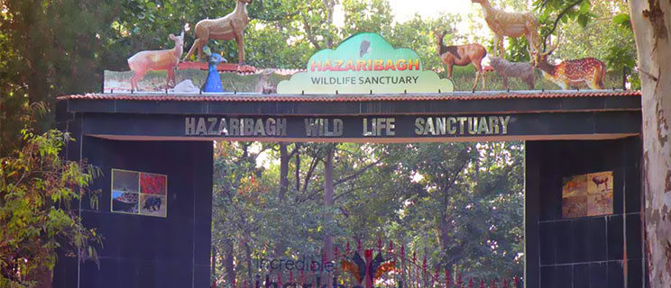 Hazaribagh Wildlife Sanctuary