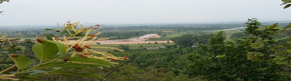 Koel View Point